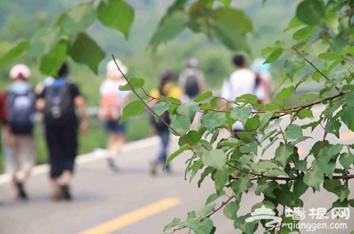 走進桃花 走出美麗 平谷十大登山徒步路線推薦