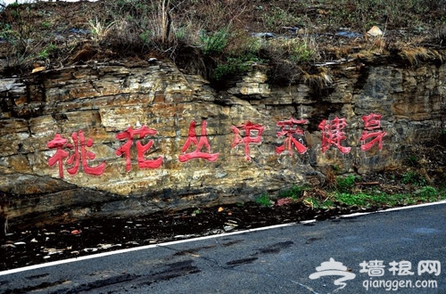 走進桃花 走出美麗 平谷十大登山徒步路線推薦