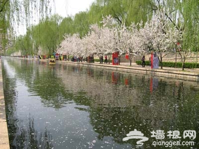 2013北京踏青賞花節攻略