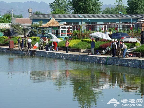 芳草漁村 嘗特色農家味道