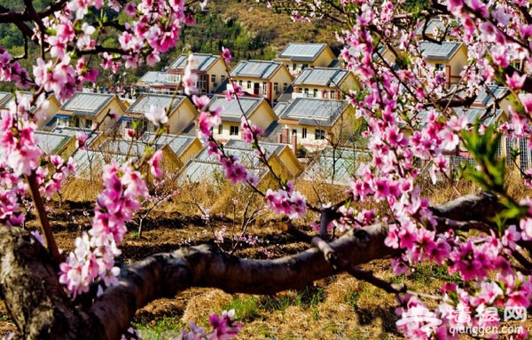 四月平谷桃花海 掛甲峪村住宿攻略