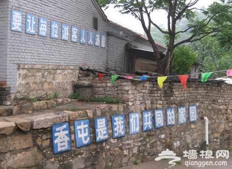 北京踏青賞花好去處 吃開河魚住農家院(旅游攻略)