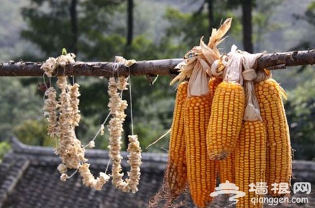 北京踏青賞花好去處 吃開河魚住農家院(旅游攻略)