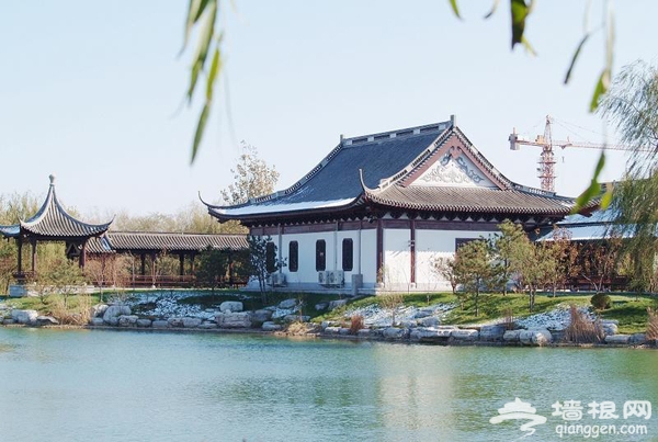 春游好去處 探尋北京南城免費郊野公園