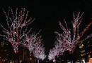 2013年京城元宵節精彩活動推薦