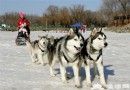 2013第三屆狂飙樂園冰雪節感悟冰雪文化