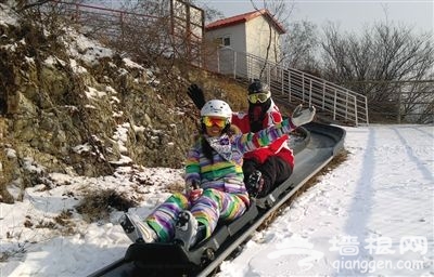 南山滑雪場的娛樂設施旱地雪橇。
