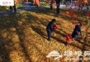 北京公園賞落葉五處最佳
