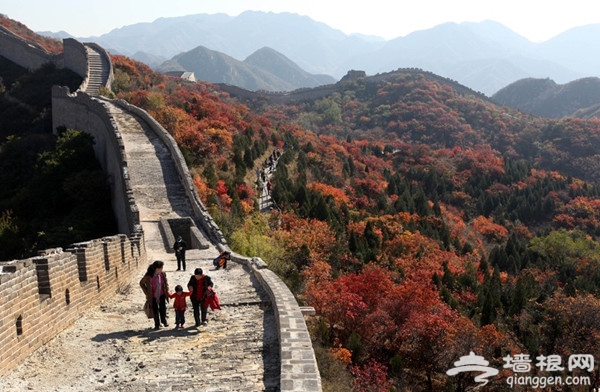 霜葉紅於二月花 11月賞紅葉目的地推薦