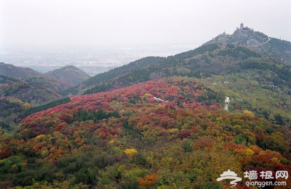 霜葉紅於二月花 11月賞紅葉目的地推薦