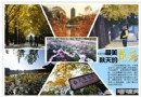 秋意濃 京城秋天十大最美角落攝影游