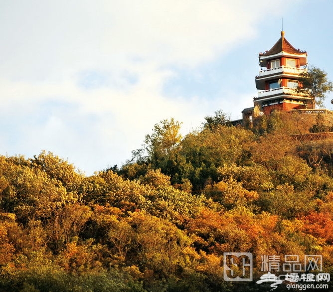 一葉知秋 最全北京賞“紅”攻略[牆根網]