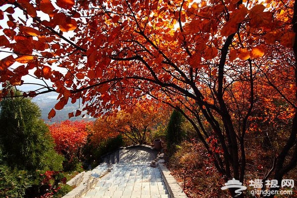 京郊一抹紅：紅螺山紅螺寺賞紅葉攻略推薦