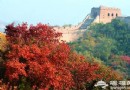 八達嶺森林公園賞紅葉公交專線開通 攻略推薦