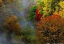 鹫峰國家森林公園——秋季紅葉正當時