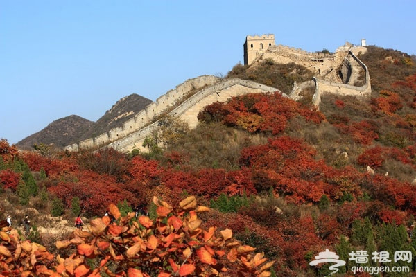 10月出游好去處 8大目的地感受北京金秋美景