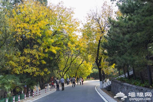 10月出游好去處 8大目的地感受北京金秋美景