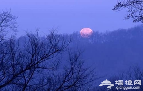 2012金秋欣賞京城“最美的月亮”[牆根網]
