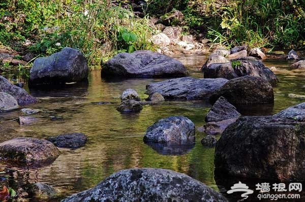 延慶松山休閒游 尋美景野趣(圖)