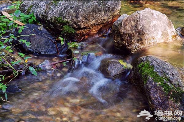 延慶松山休閒游 尋美景野趣(圖)