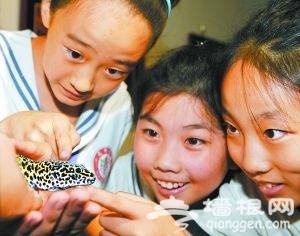 在動物園與小動物“親密接觸”。 在動物園與小動物“親密接觸”。