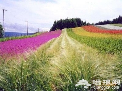 京郊薰衣草觀賞地推薦之密雲紫海香堤藝術莊園