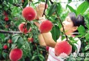 平谷 速度距離隨心所欲