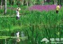 延慶 300公裡青山騎游畫裡