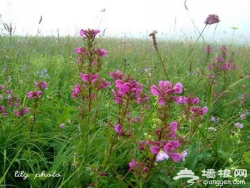 閒情逸致畫中游 尋找京郊最美山色