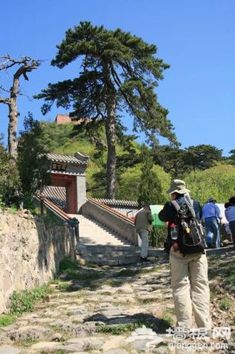 閒情逸致畫中游 尋找京郊最美山色