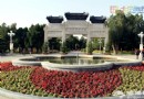 北京賞花季 中山公園郁金香盛放（賞花攻略）