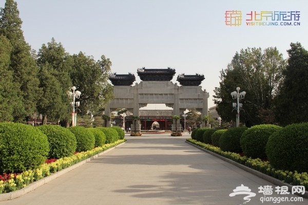 北京賞花季 中山公園郁金香盛放（賞花攻略）