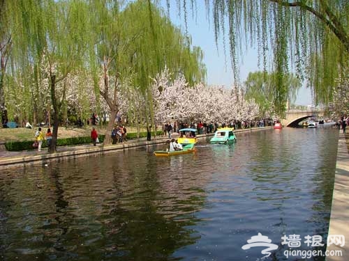 歷史滄桑下的春韻 北京踏青五大遺址公園推薦