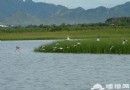 延慶踏青游 野鴨湖國家濕地公園觀百鳥