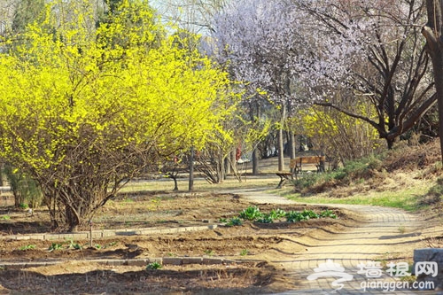 山頭上的風景 京郊踏青登山游11大好去處(圖)