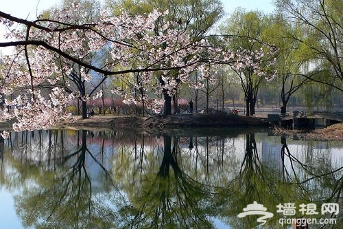 圓明園踏青節4月1日開幕 御駕巡游攻略推薦