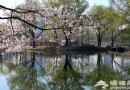 圓明園踏青節4月1日開幕 御駕巡游攻略推薦