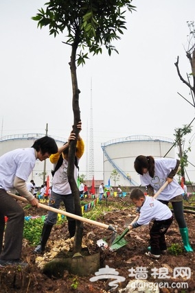 植樹造林