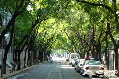 2012情人節 北京最適合擁吻的角落(圖)