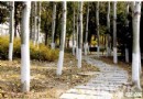 冬季旅游熱起來 京郊尋找“新鮮”地兒