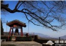 千年古剎戒台寺 2012年新年夜敲鐘祈福