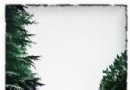 第一時間去撒歡 北京七大賞雪地初雪紛飛