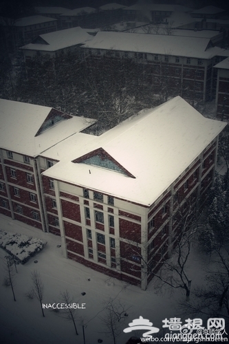 北京師范大學初雪(圖片：)