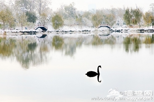 圓明園初雪(圖片:) 圓明園初雪(圖片:)
