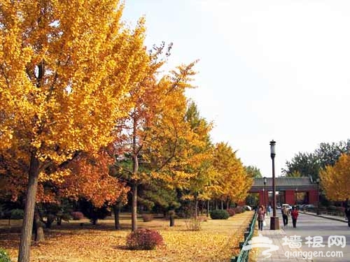 北京四大壇:老皇宮紫禁城的鎮寶(圖)