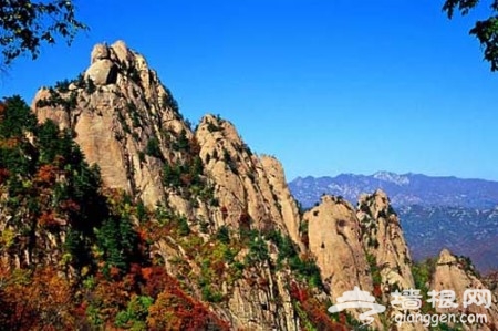 霧靈山:獨辟蹊徑賞紅葉 美煞香山
