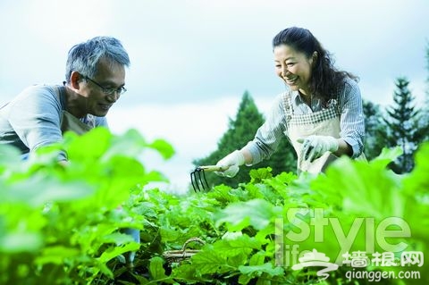 白領爭當“都市農民” 菜園子搞“灰機”[牆根網]