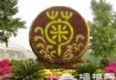10月京城秋游熱門活動與實用攻略