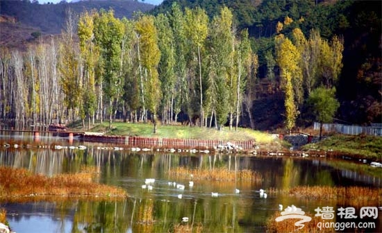 燕山秋景 秋游懷柔5大線路攻略推薦