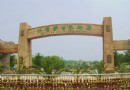 與大自然親密接觸　北京野生動物園游覽攻略